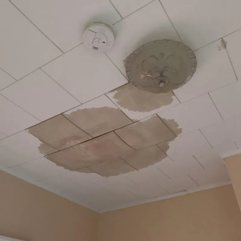 Ceiling Water Damage Repair in Garrison, ND