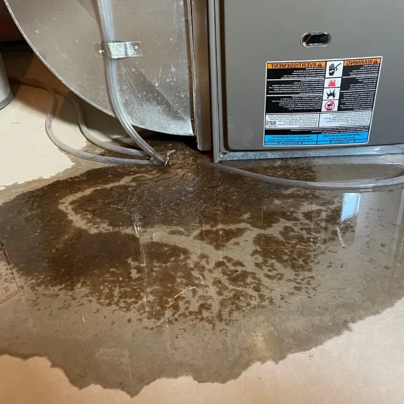 Pipe Burst and Leak Restoration in Garrison, ND