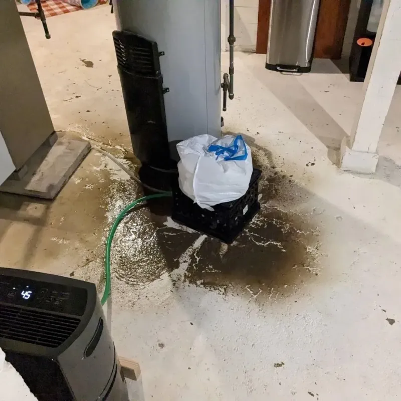Sewage Backup Cleanup Service in Garrison, ND